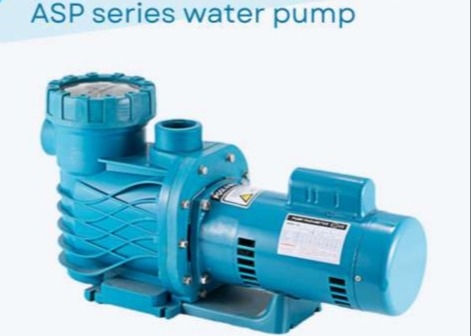 ASP100 Máy bơm nước bể bơi