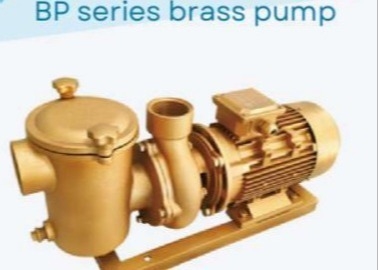 BP30 Bơm nước bể bơi