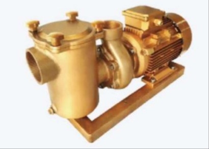 BP30 Bơm nước bể bơi