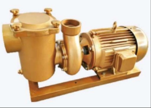 BP30 Bơm nước bể bơi