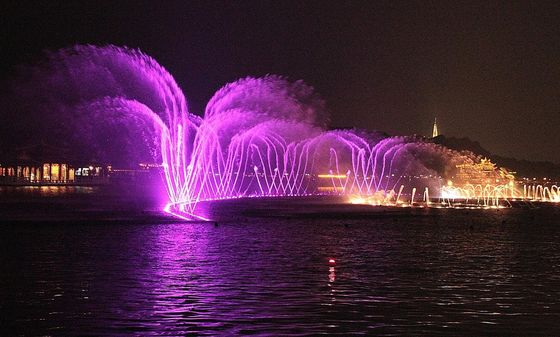 Thép không gỉ Seagull Swing DN50 Dancing Fountain Vòi phun