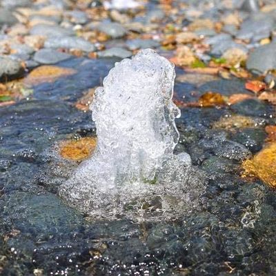 Thép không gỉ Cup Bong bóng Đài phun nước Vòi phun Đầu phun Vòi phun nước Pond