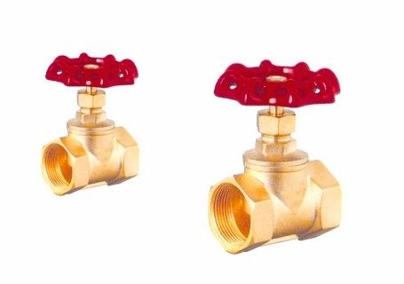 Phụ kiện vòi nước bể bơi của SGS