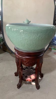 Shadowy Blue Glaze Base Base 460mm cá koi