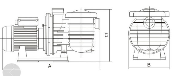 Máy bơm nước bể bơi nhựa 2 inch 1HP