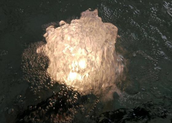 80 L / M 1 inch Dancing Fountain Jet Vòi phun có đèn