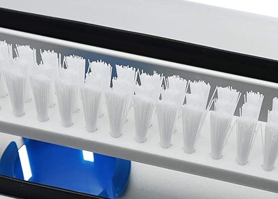 Phụ kiện máy hút bụi cho bể bơi 34,5X13cm